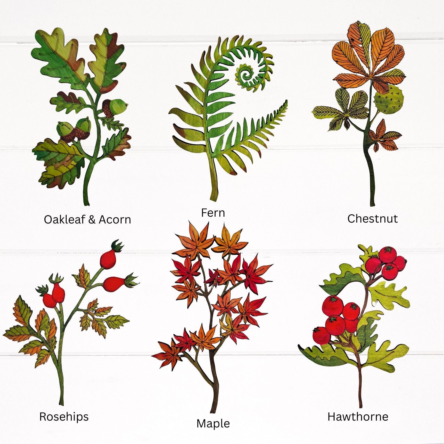 Autumnal Leaves & Berries