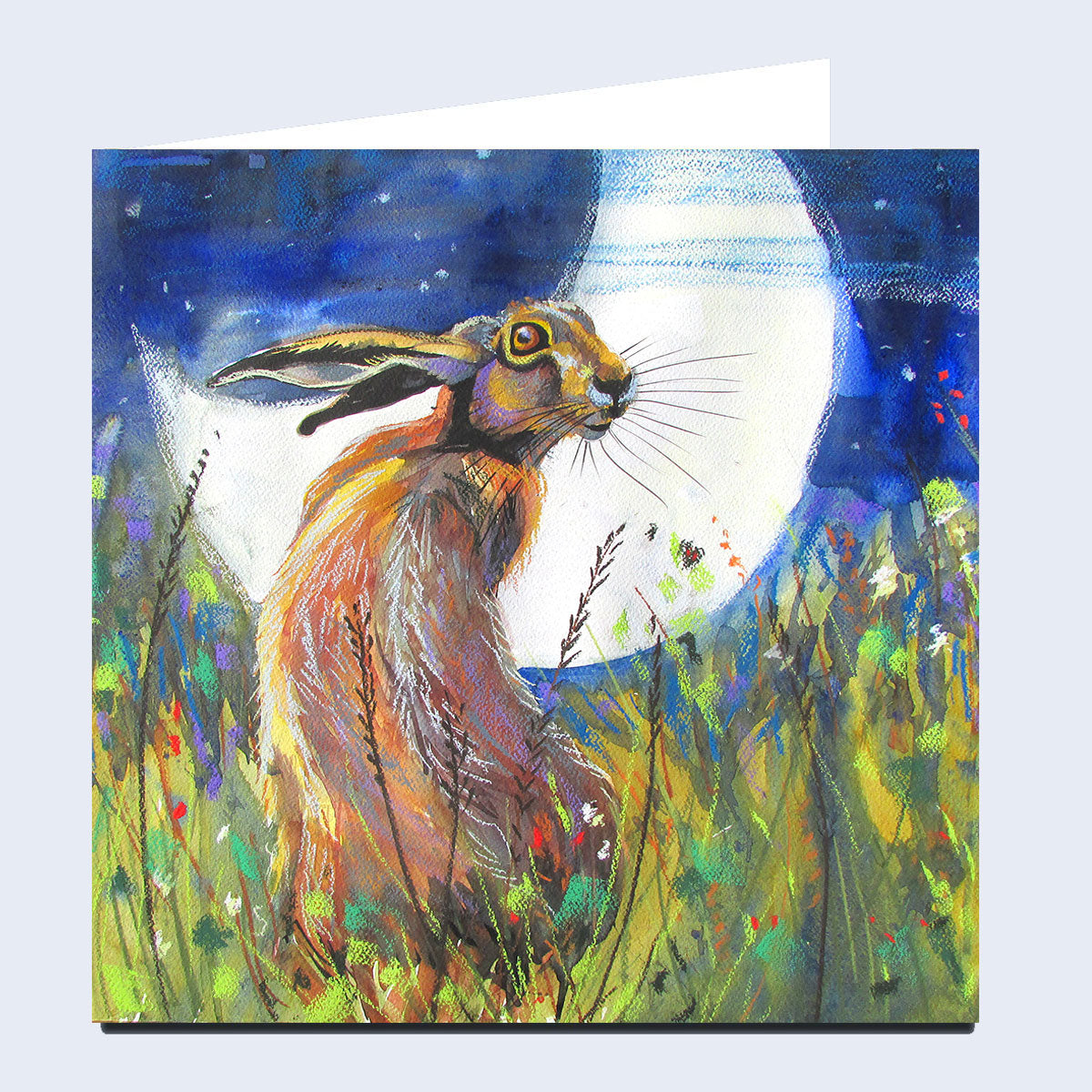 'Wildlife' Cards