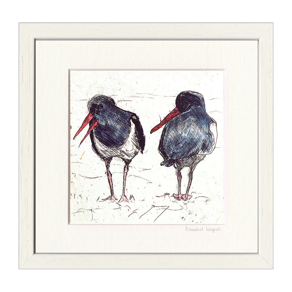 Seabirds