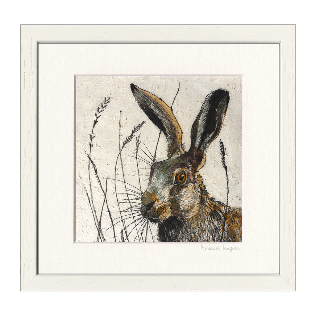 Hares