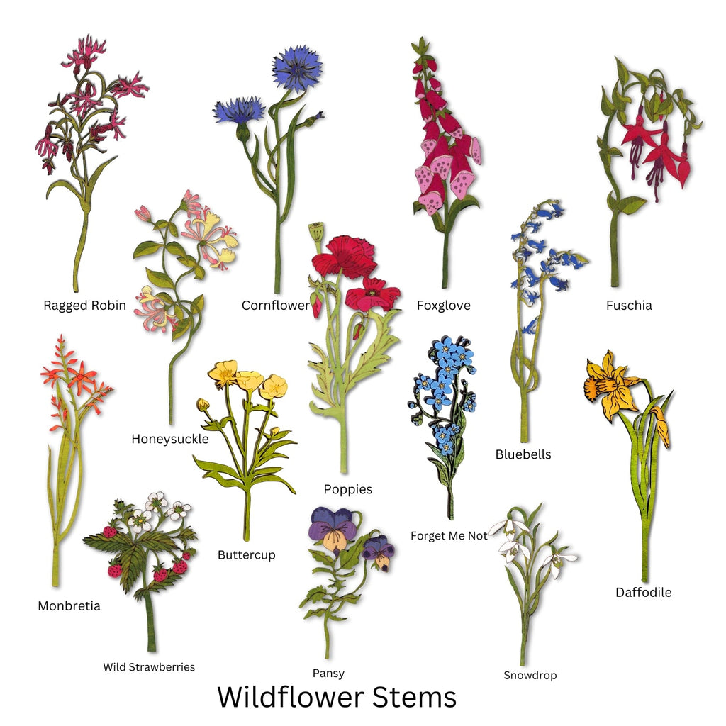 Wildflower Stems