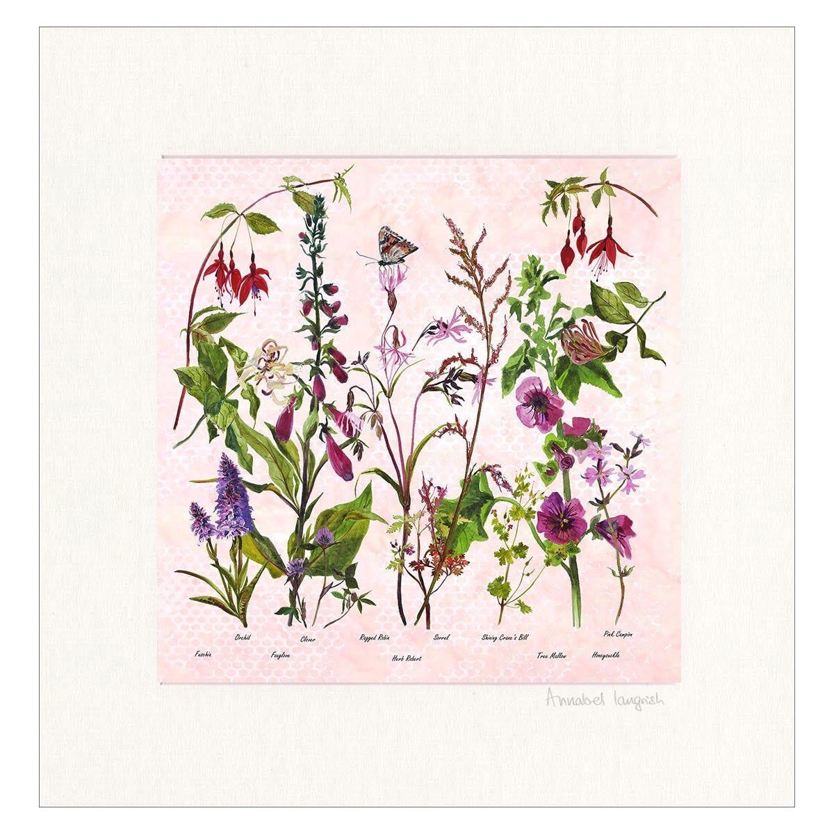 Wildflowers 'The Pinks' Print