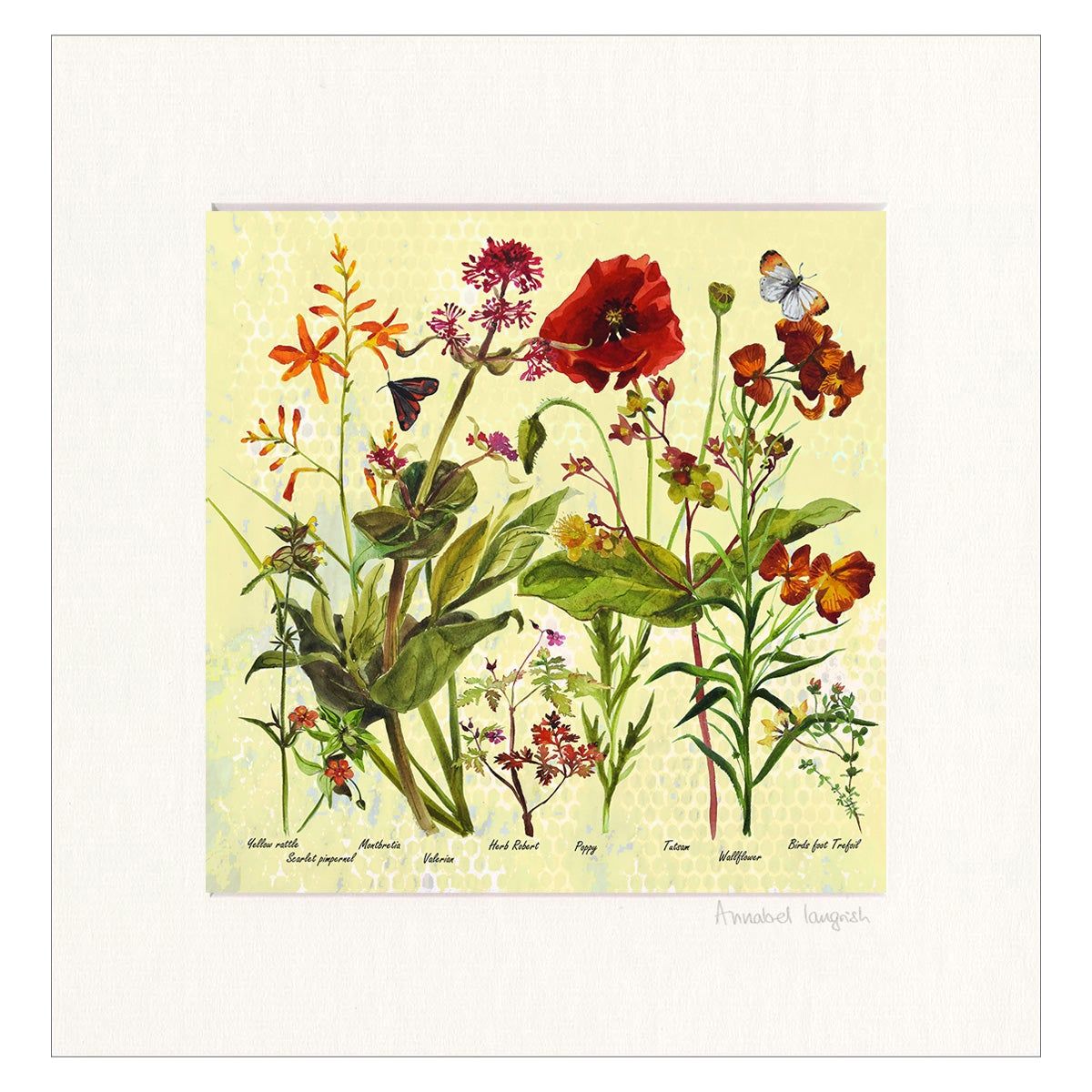 Wildflowers 'Fiery' Print
