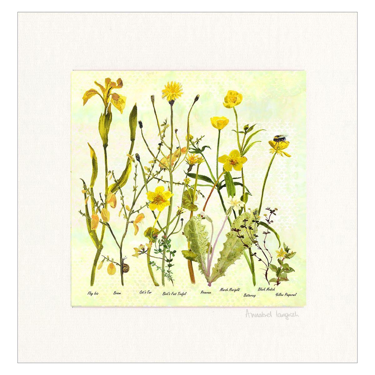 Wildflowers 'The Yellows' Print