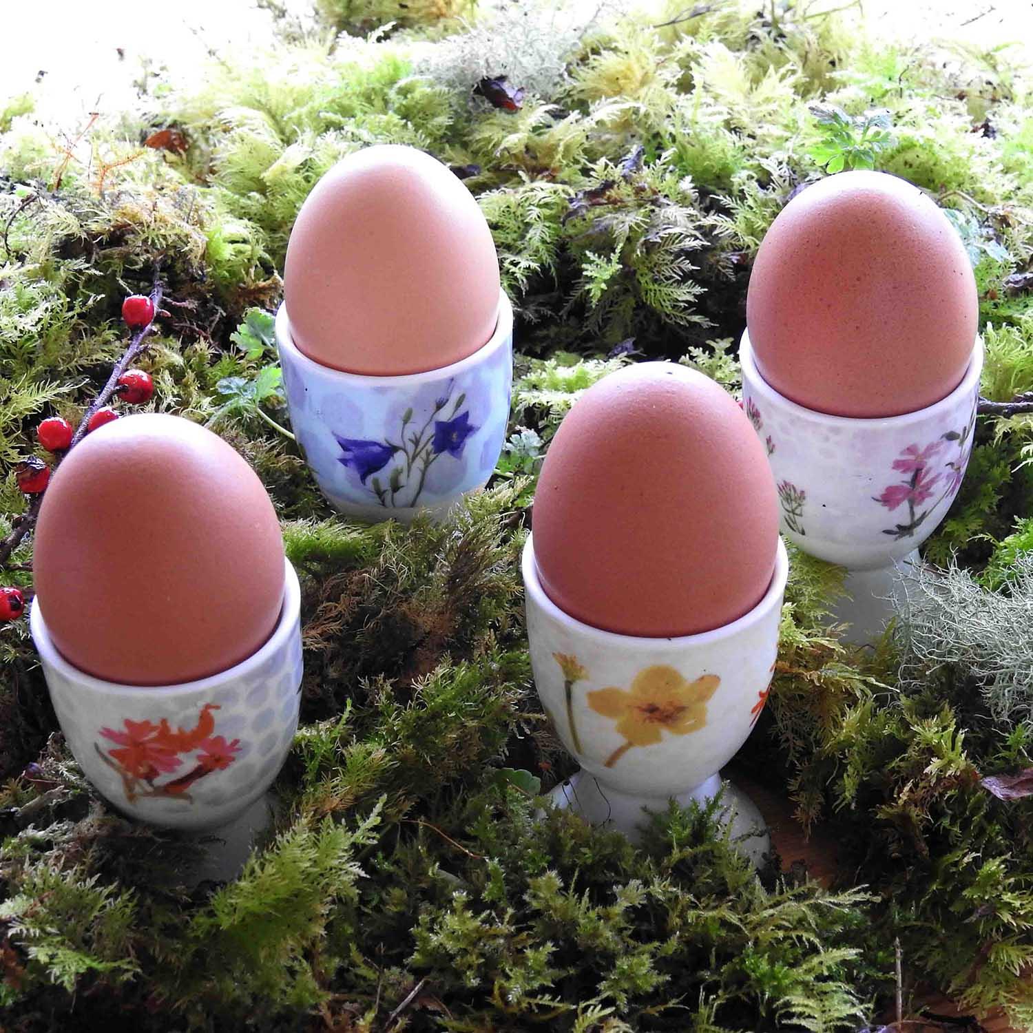 Wildflower 'Egg Cups'